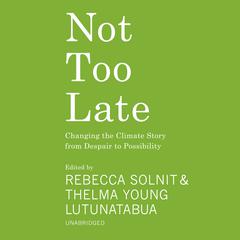 Not Too Late: Changing the Climate Story from Despair to Possibility Audiobook, by various authors