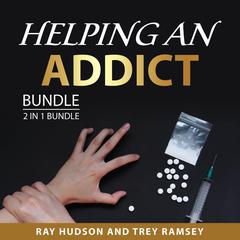 Helping an Addict Bundle, 2 in 1 bundle Audiobook, by Ray Hudson