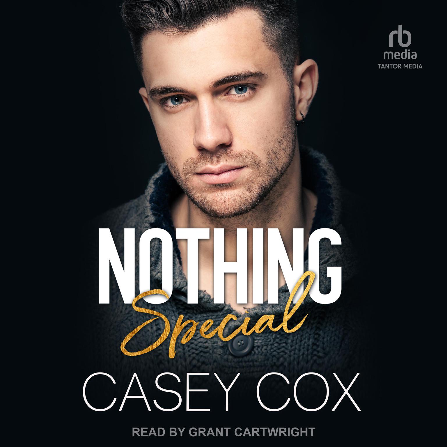 Nothing Special Audiobook, by Casey Cox