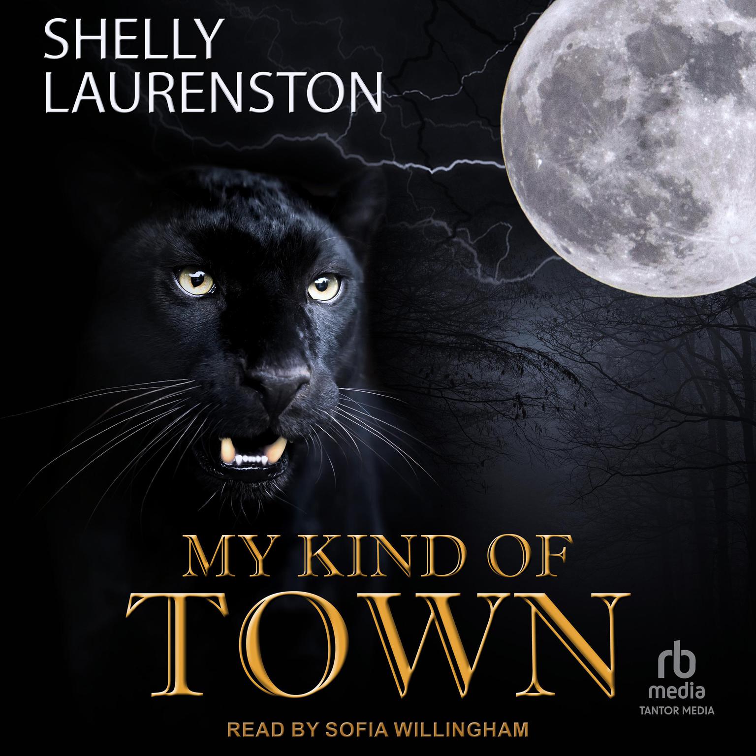 My Kind of Town Audiobook, by Shelly Laurenston