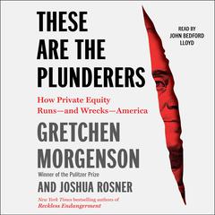 These Are the Plunderers: How Private Equity Runs—and Wrecks—America Audiobook, by 