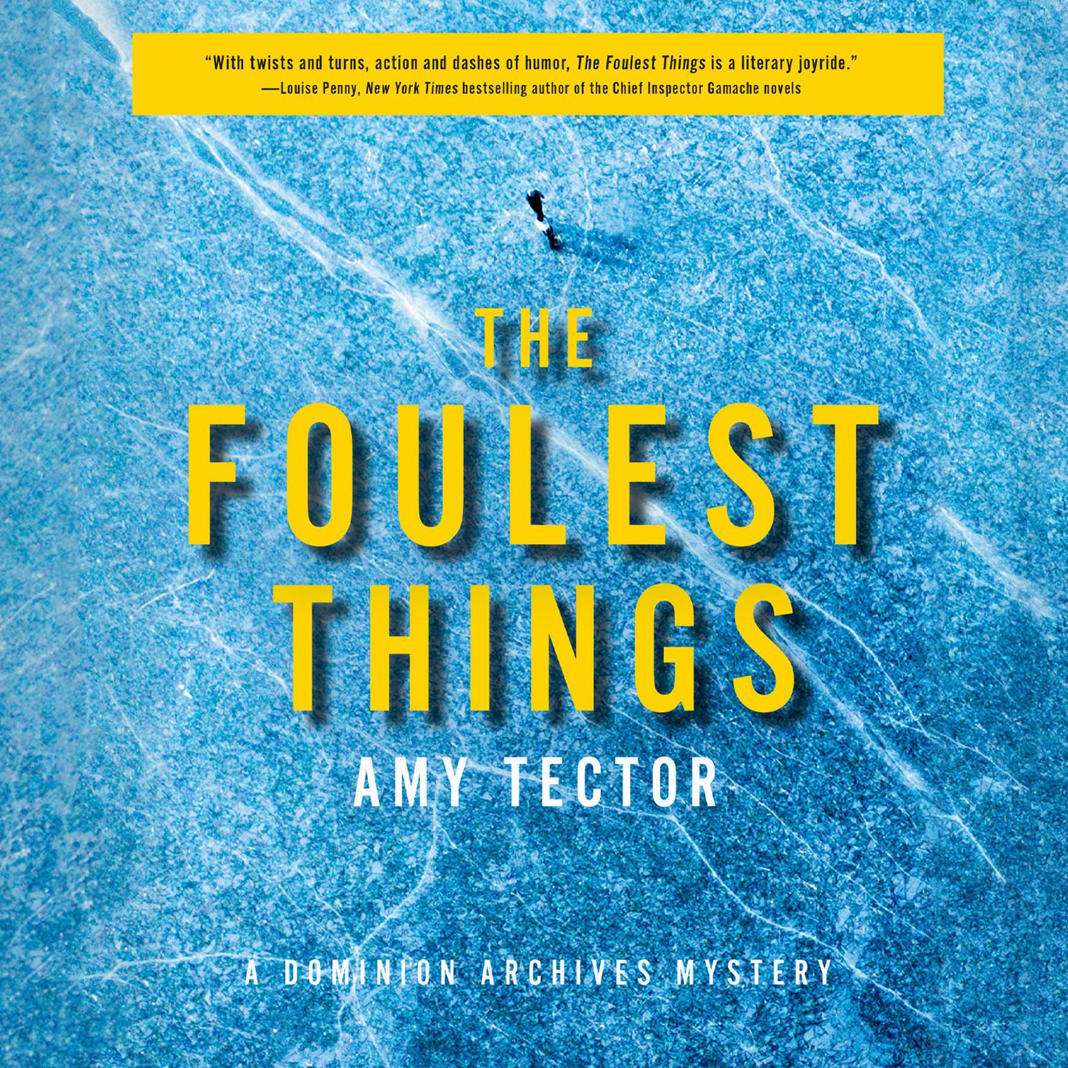 The Foulest Things Audiobook, by Amy Tector