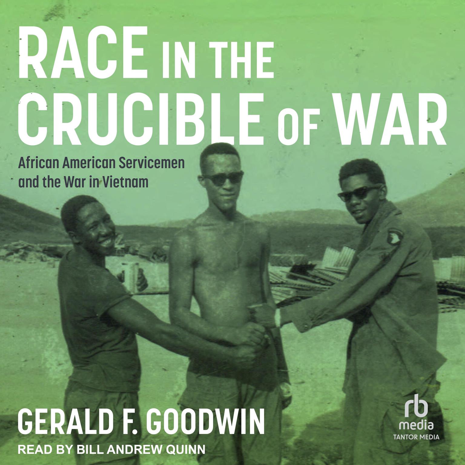 Race in the Crucible of War: African American Servicemen and the War in Vietnam Audiobook, by Gerald F. Goodwin