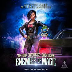 Enemies of Magic Audiobook, by Michael Anderle