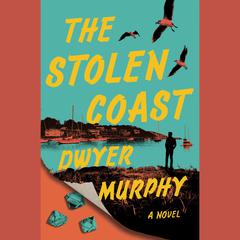 The Stolen Coast: A Novel Audiobook, by Dwyer Murphy