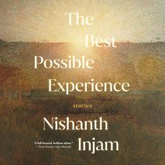 The Best Possible Experience: Stories Audiobook, by Nishanth Injam