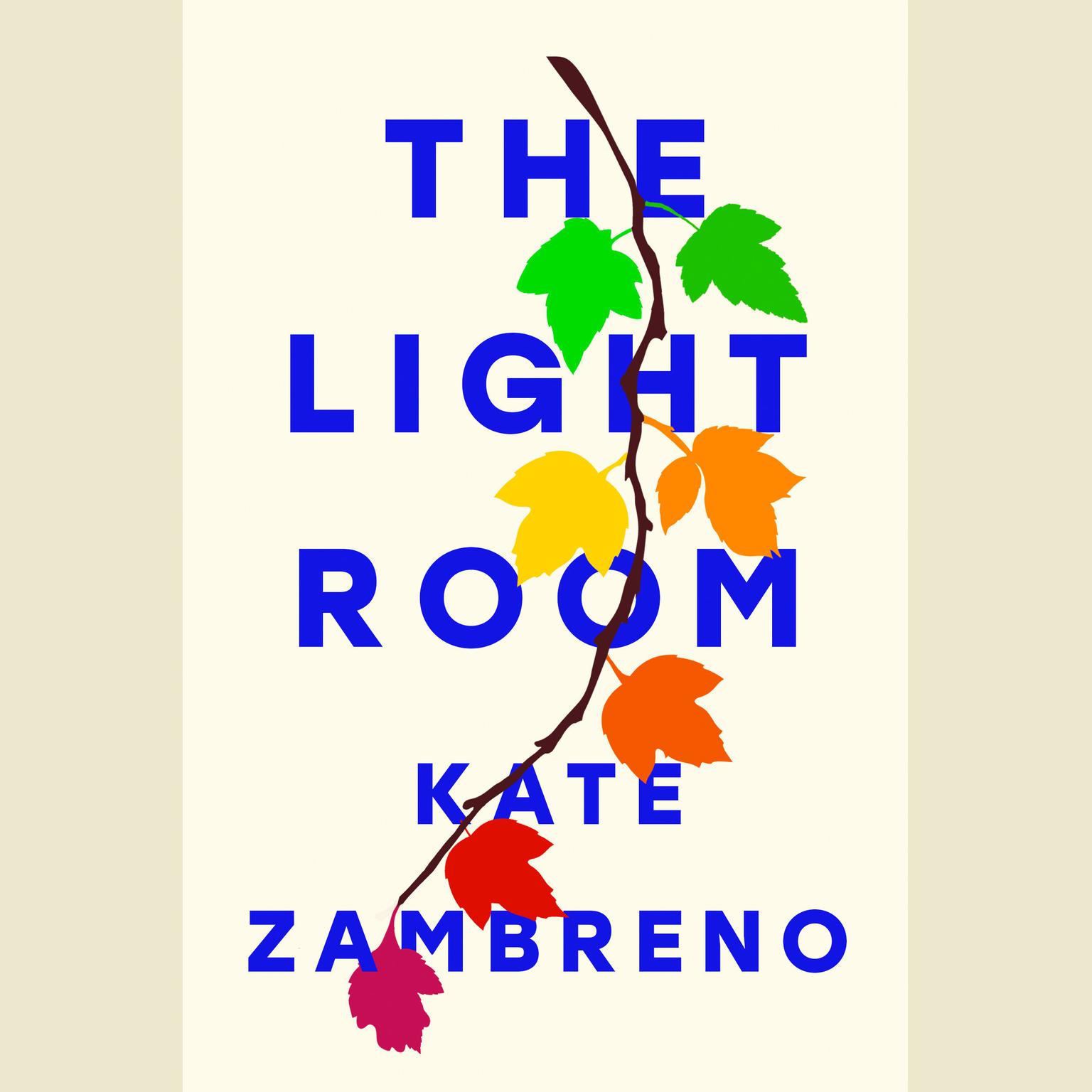 The Light Room Audiobook, by Kate Zambreno