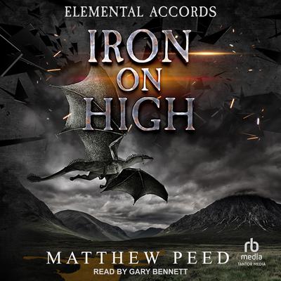 Iron on High Audiobook, by Matthew Peed