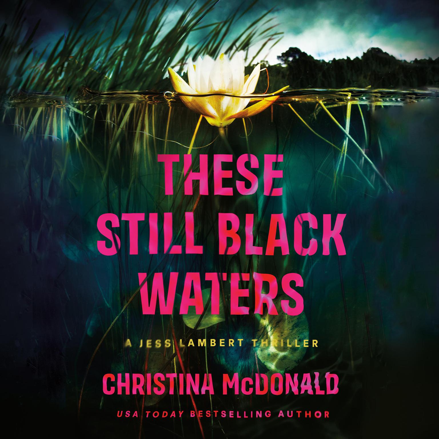 These Still Black Waters Audiobook, by Christina McDonald