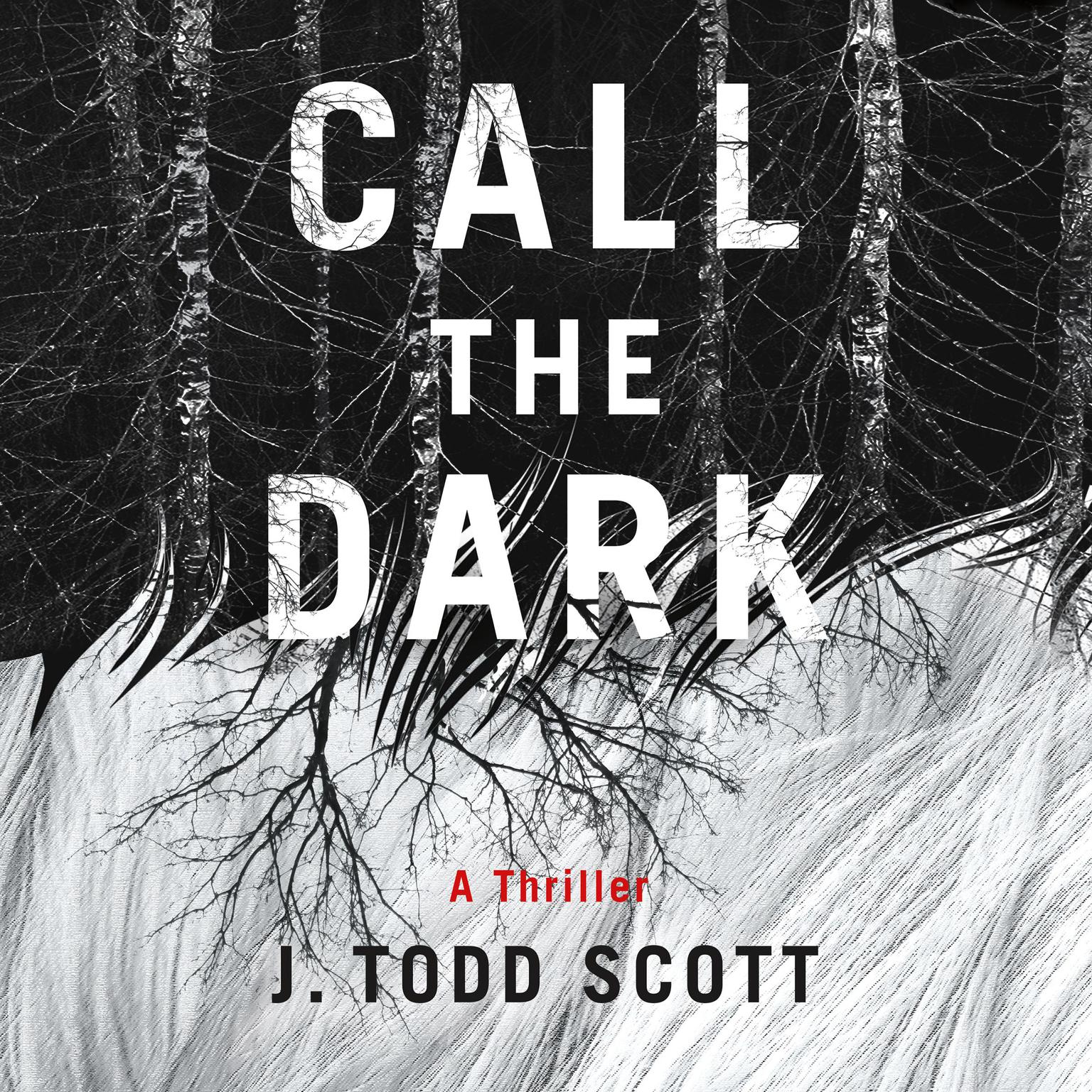 Call the Dark: A Thriller Audiobook, by J. Todd Scott