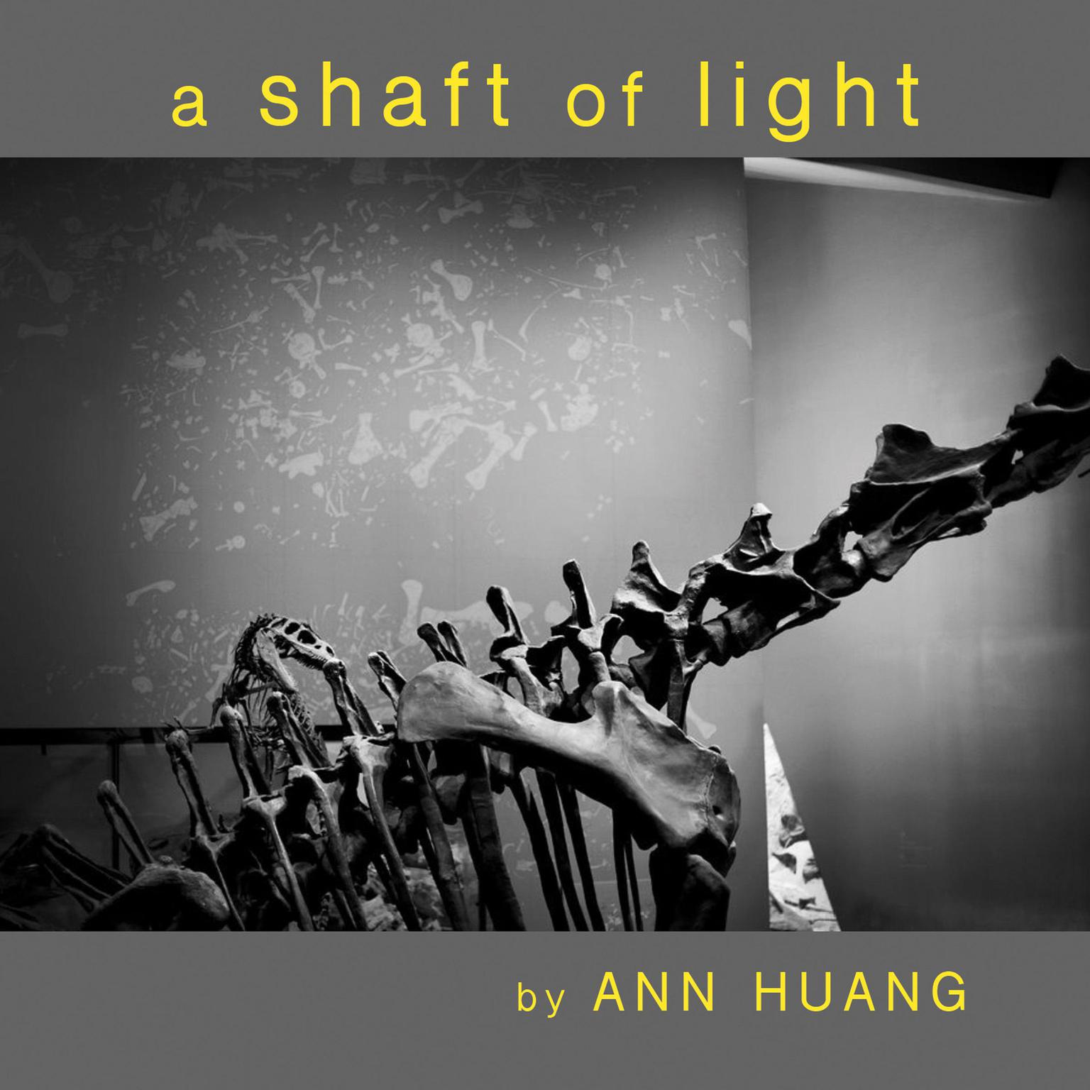 a Shaft of Light Audiobook, by Ann Huang