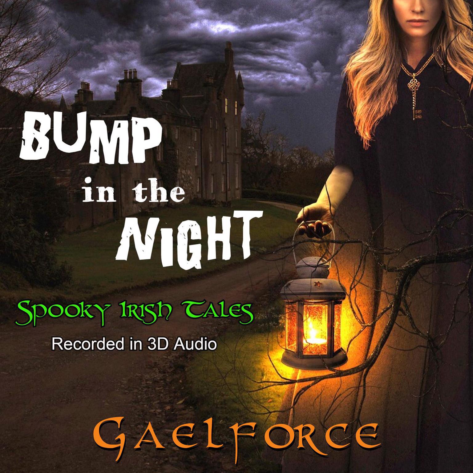 Bump in the Night Audiobook, by Gael Force