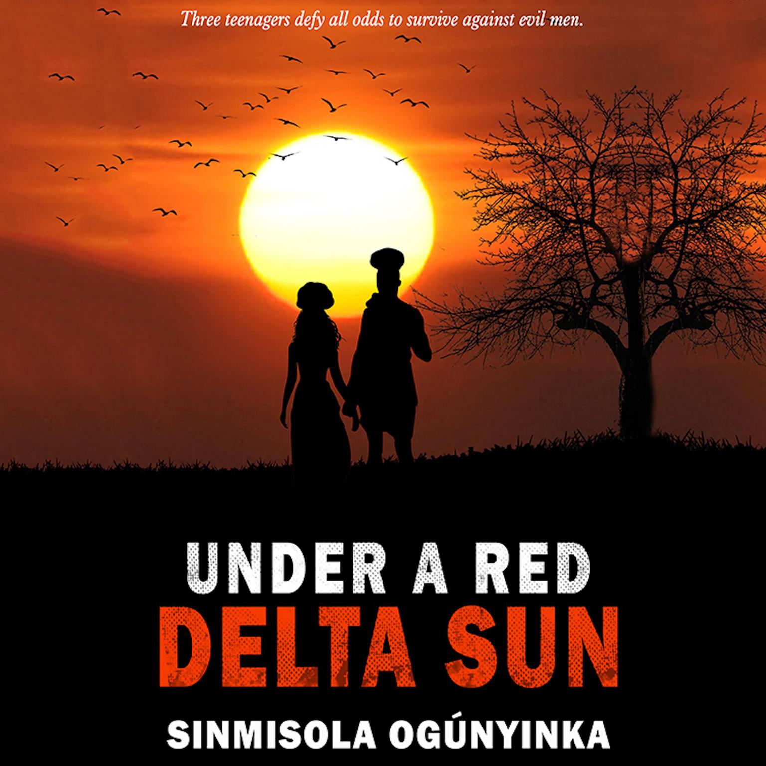 Under A Red Delta Sun Audiobook, by Sinmisola Ogunyinka