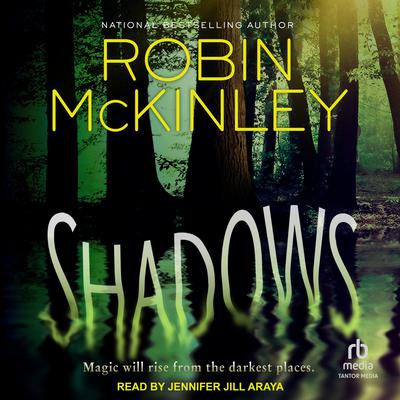 Shadows Audiobook, by Robin McKinley