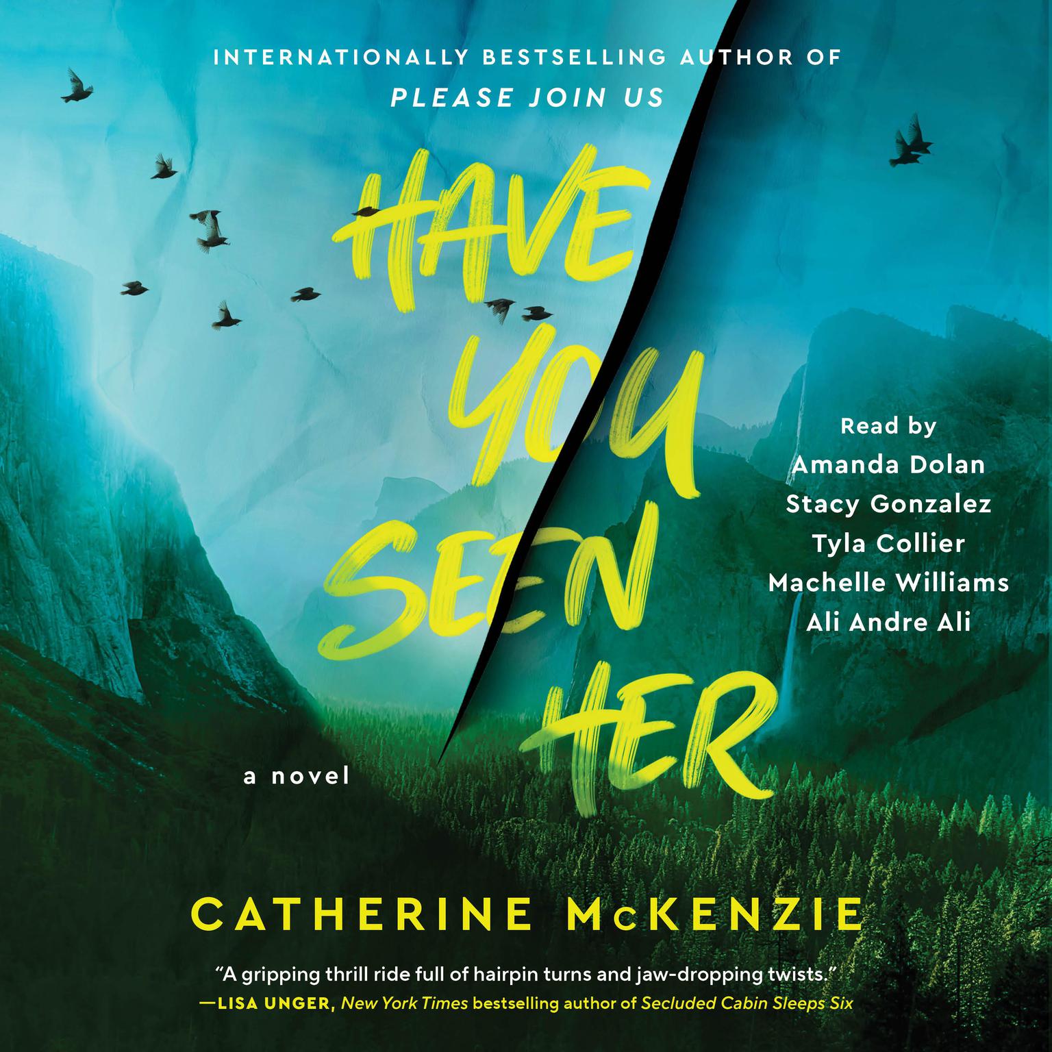 Have You Seen Her: A Novel Audiobook, by Catherine McKenzie