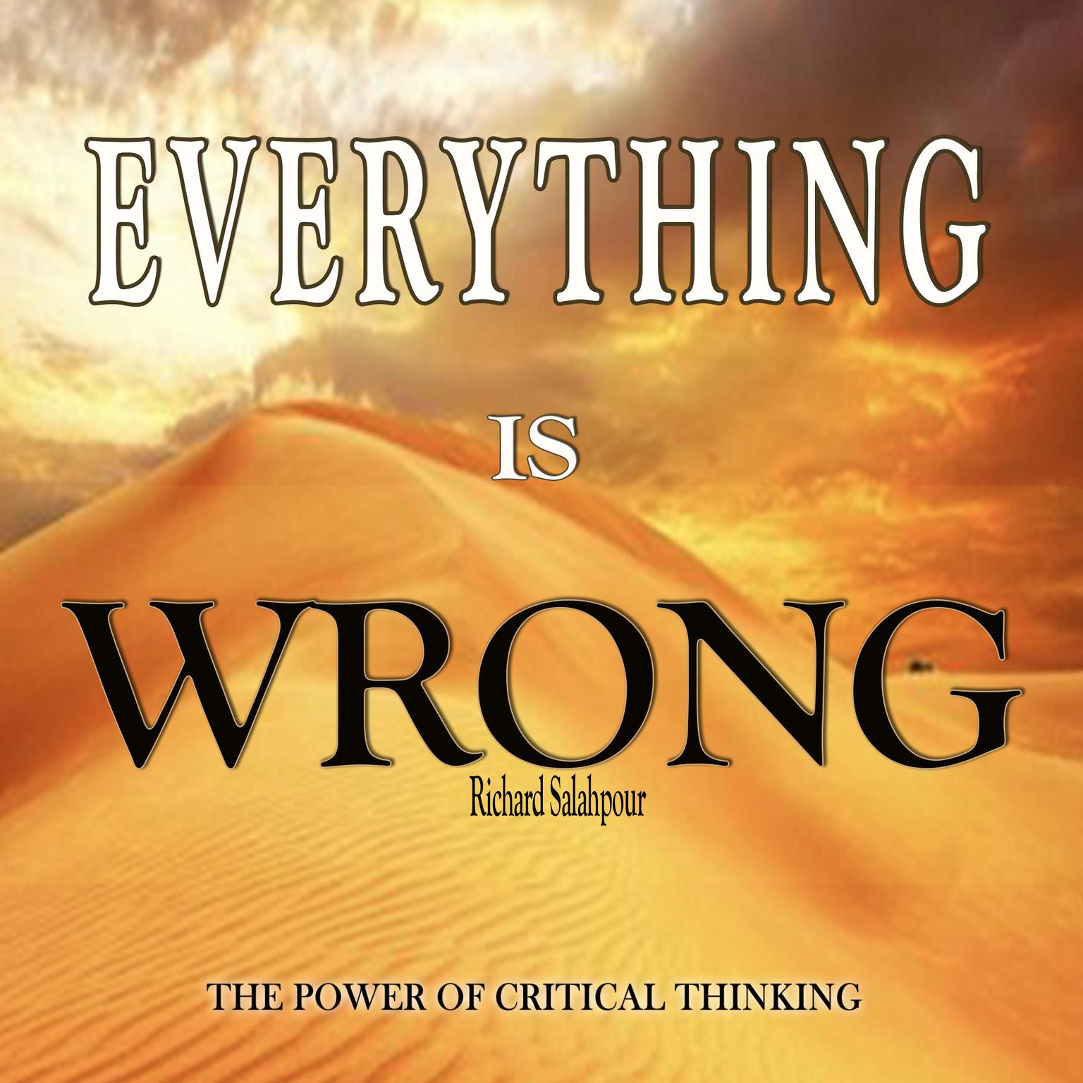 Everything is wrong Audiobook, by Richard Salahpour