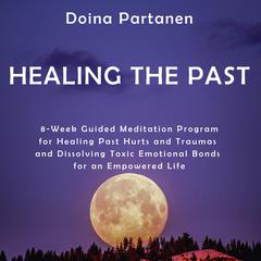 Healing the Past Audiobook, by Doina Partanen
