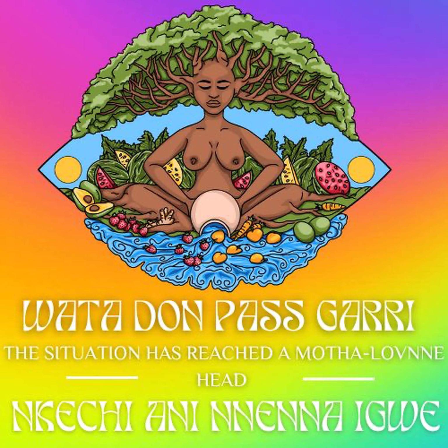 Wata Don Pass Garri (Abridged) Audiobook, by Nkechi Ani Nnenna Igwe