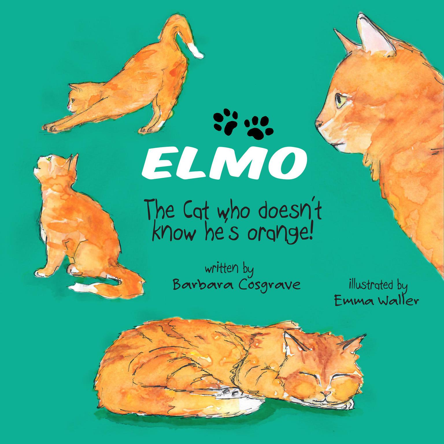 Elmo Audiobook, by Barbara Cosgrave