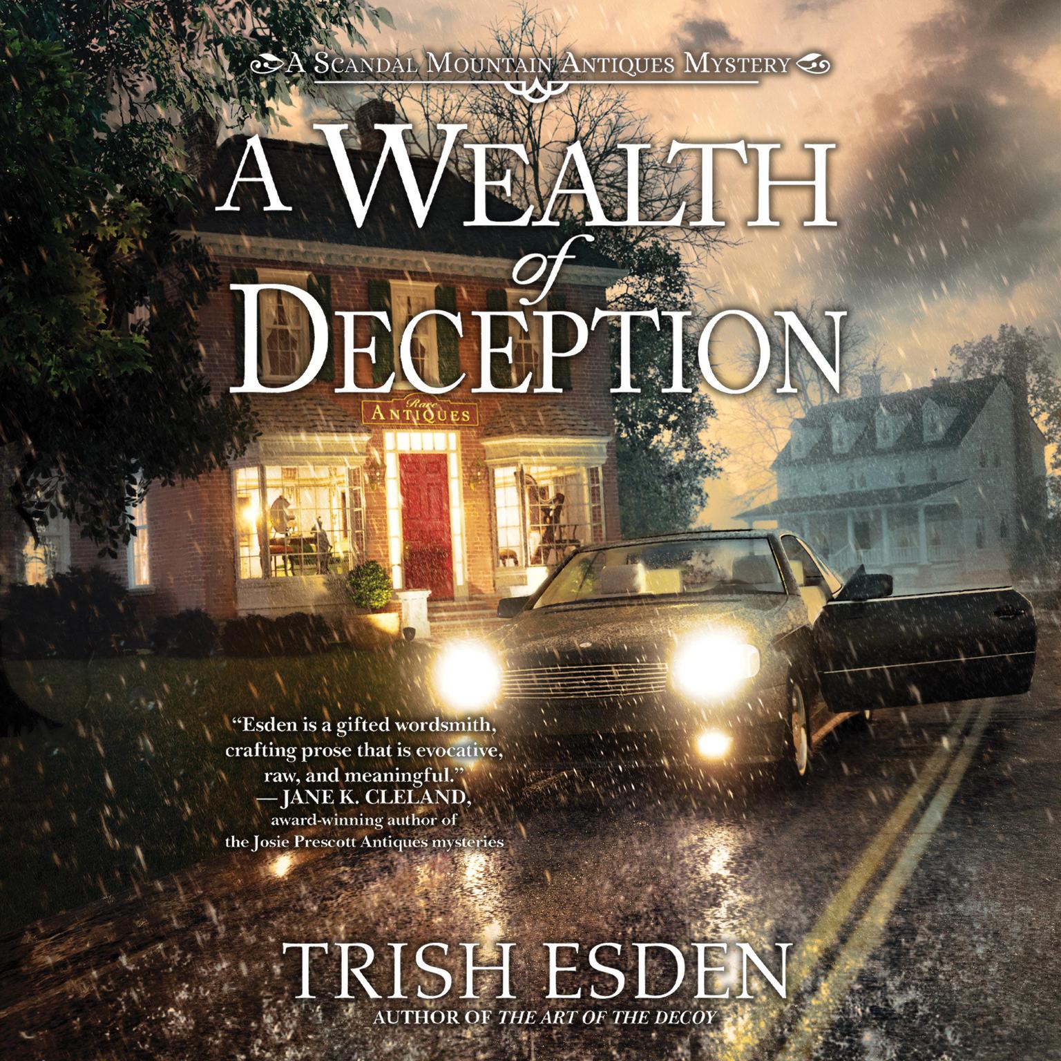 A Wealth of Deception Audiobook, by Trish Esden