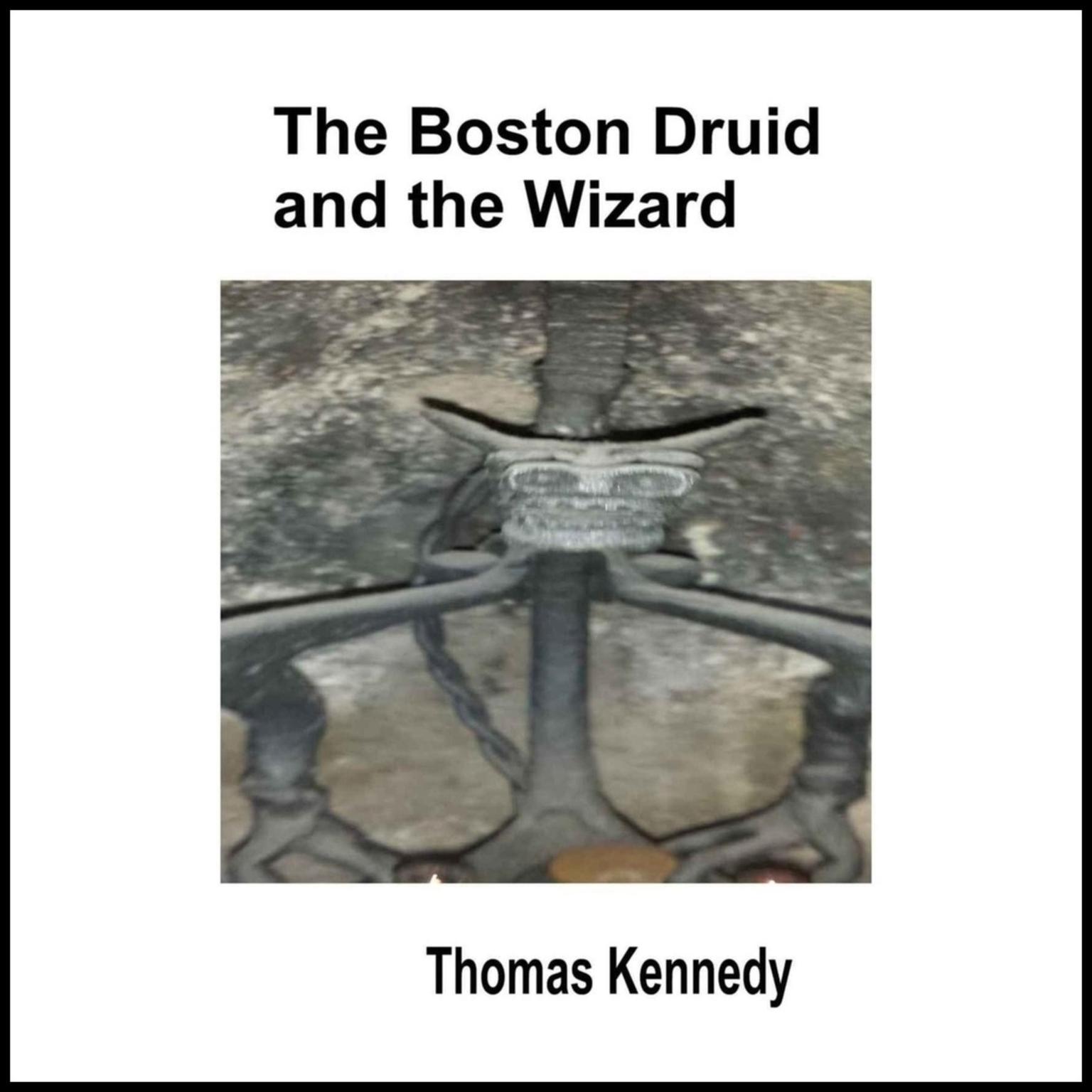 The Boston Druid and the Wizard Audiobook, by Thomas Kennedy
