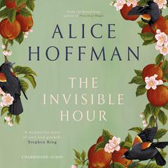 The Invisible Hour Audiobook, by Alice Hoffman
