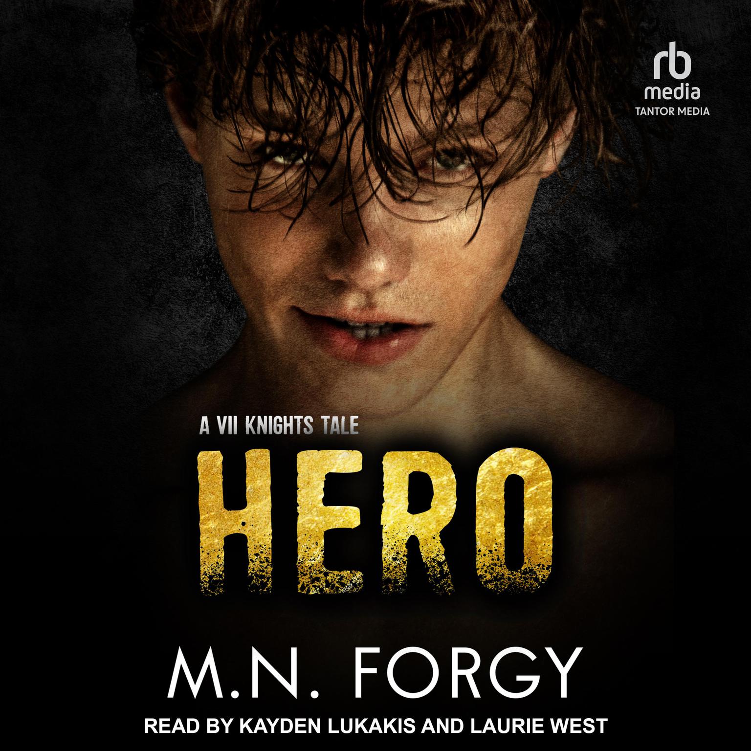 Hero Audiobook, by M. N. Forgy