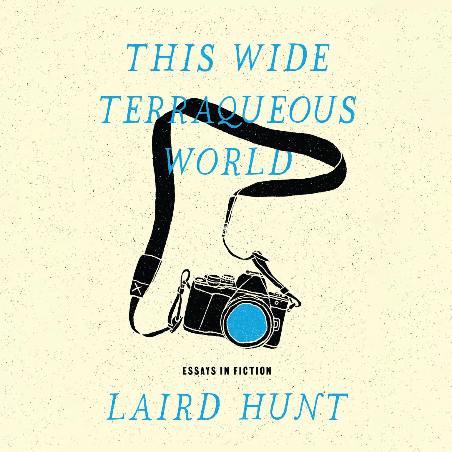 This Wide Terraqueous World Audiobook, by Laird Hunt