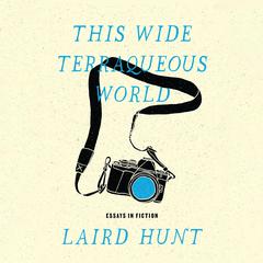 This Wide Terraqueous World Audiobook, by Laird Hunt