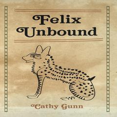 Felix Unbound Audiobook, by Cathy Gunn