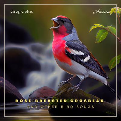 Rose-breasted Grosbeak and Other Bird Songs: Atmospheric Audio for Productivity and Focus Audiobook, by Greg Cetus