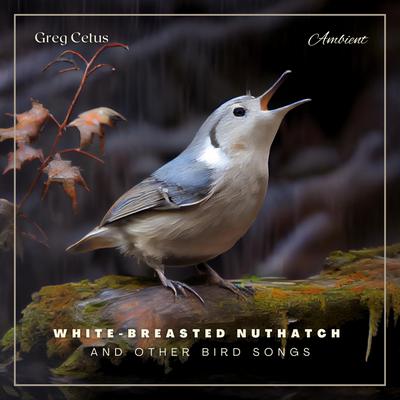 White-breasted Nuthatch and Other Bird Songs: Ambient Audio for Holistic Living Audiobook, by Greg Cetus