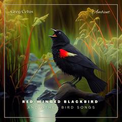 Red-winged Blackbird and Other Bird Songs: Ambient Soundscape for Mindfulness and Relaxation Audiobook, by Greg Cetus