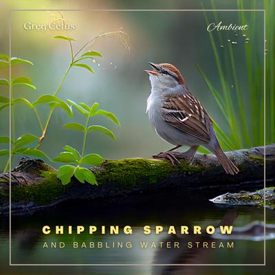 Chipping Sparrow and Babbling Water Stream: Morning Birdsongs and Water Streams for Peace and Relaxation Audiobook, by Greg Cetus