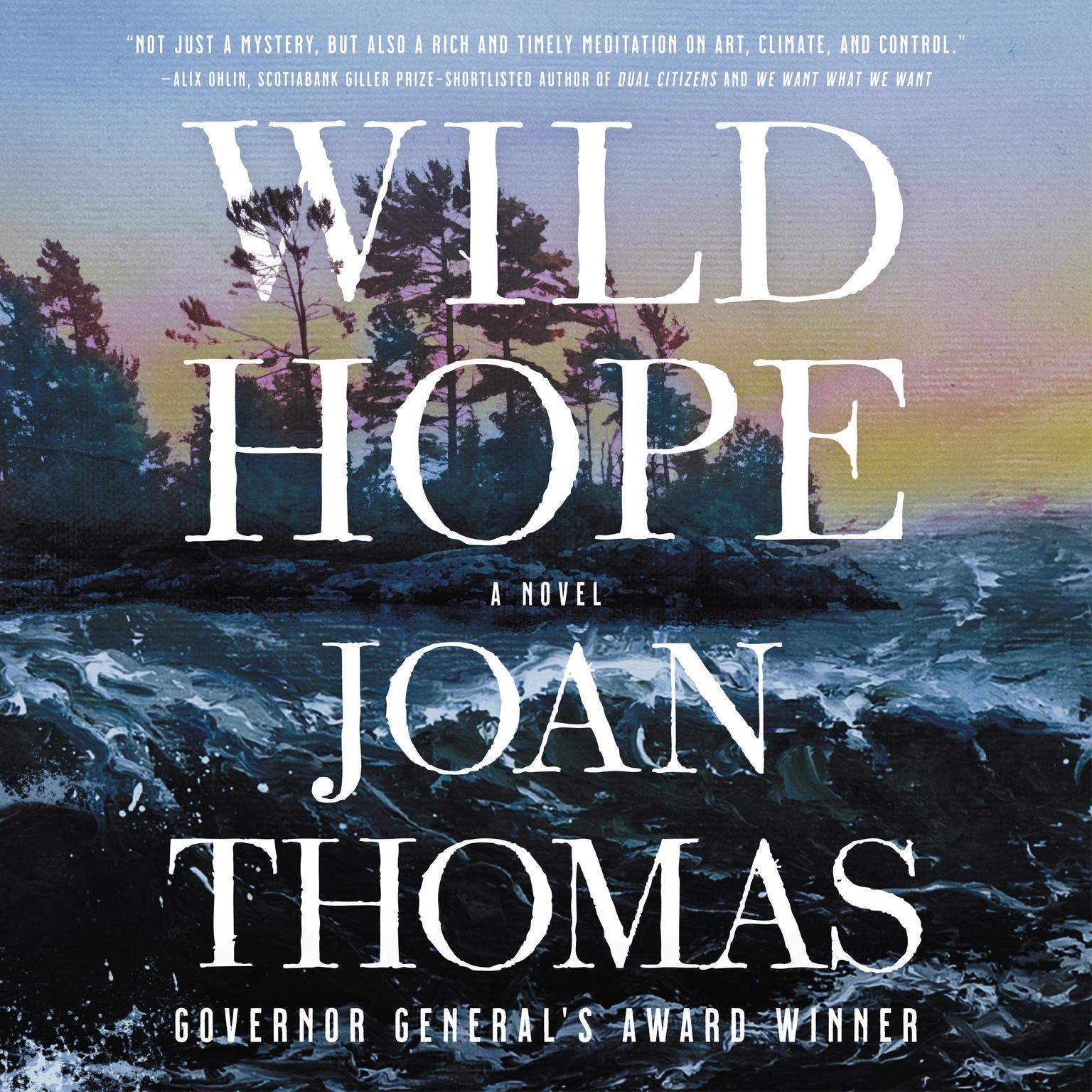 Wild Hope: A Novel Audiobook, by Joan Thomas