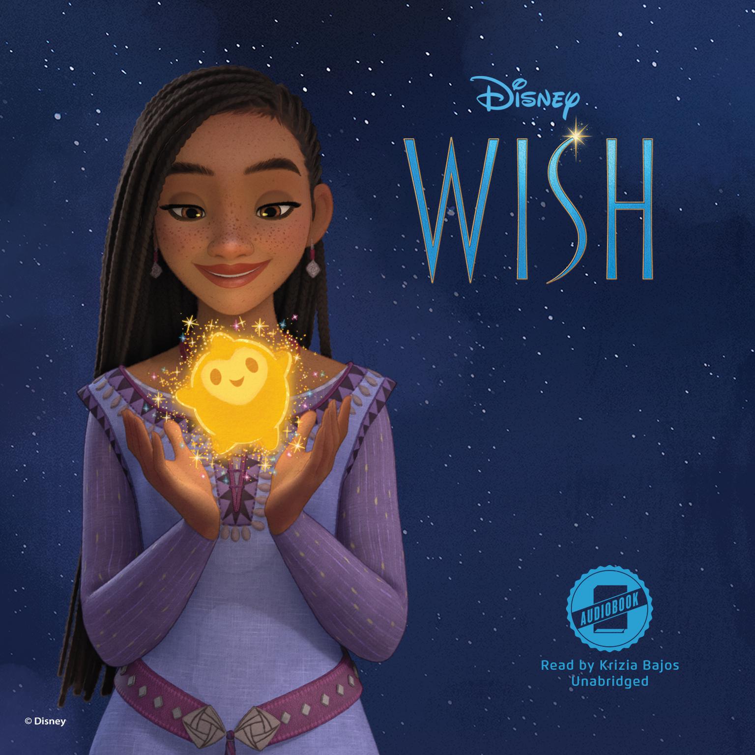 Disney Wish Audiobook, by Erin Falligant