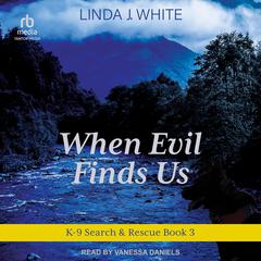 When Evil Finds Us Audiobook, by Linda J. White
