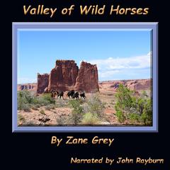 Valley of Wild Horses Audiobook, by Zane Grey