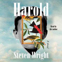 Harold Audiobook, by Steven Wright