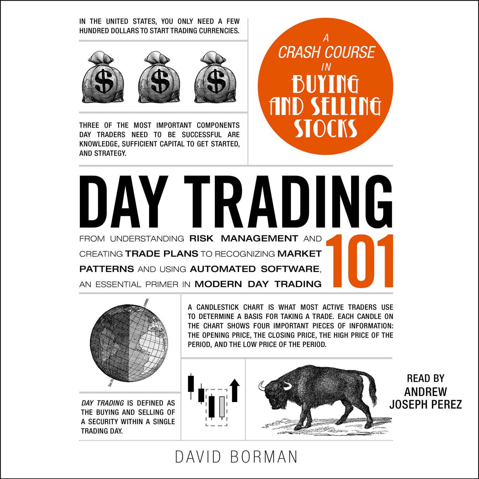 Day Trading 101: From Understanding Risk Management and Creating Trade Plans to Recognizing Market Patterns and Using Automated Software, an Essential Primer in Modern Day Trading Audiobook, by David Borman
