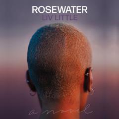 Rosewater: A Novel Audiobook, by Liv Little
