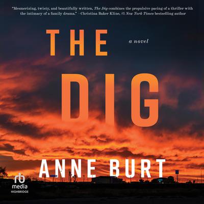The Dig: A Novel Audiobook, by Anne Burt