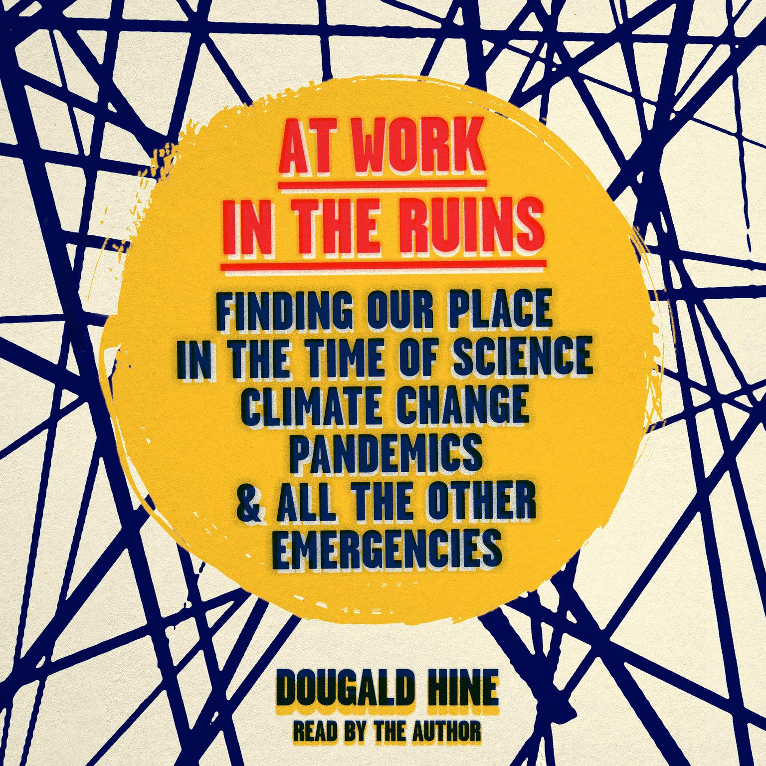 At Work in the Ruins: Finding Our Place in the Time of Science, Climate Change, Pandemics and All Other Emergencies Audiobook, by Dougald Hine