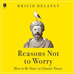 Reasons Not to Worry: How to Be Stoic in Chaotic Times Audiobook, by Brigid Delaney