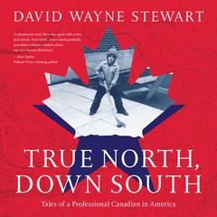 True North, Down South Audiobook, by David Wayne Stewart