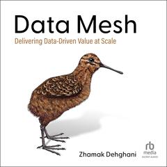 Data Mesh: Delivering Data-Driven Value at Scale Audiobook, by Zhamak Dehghani