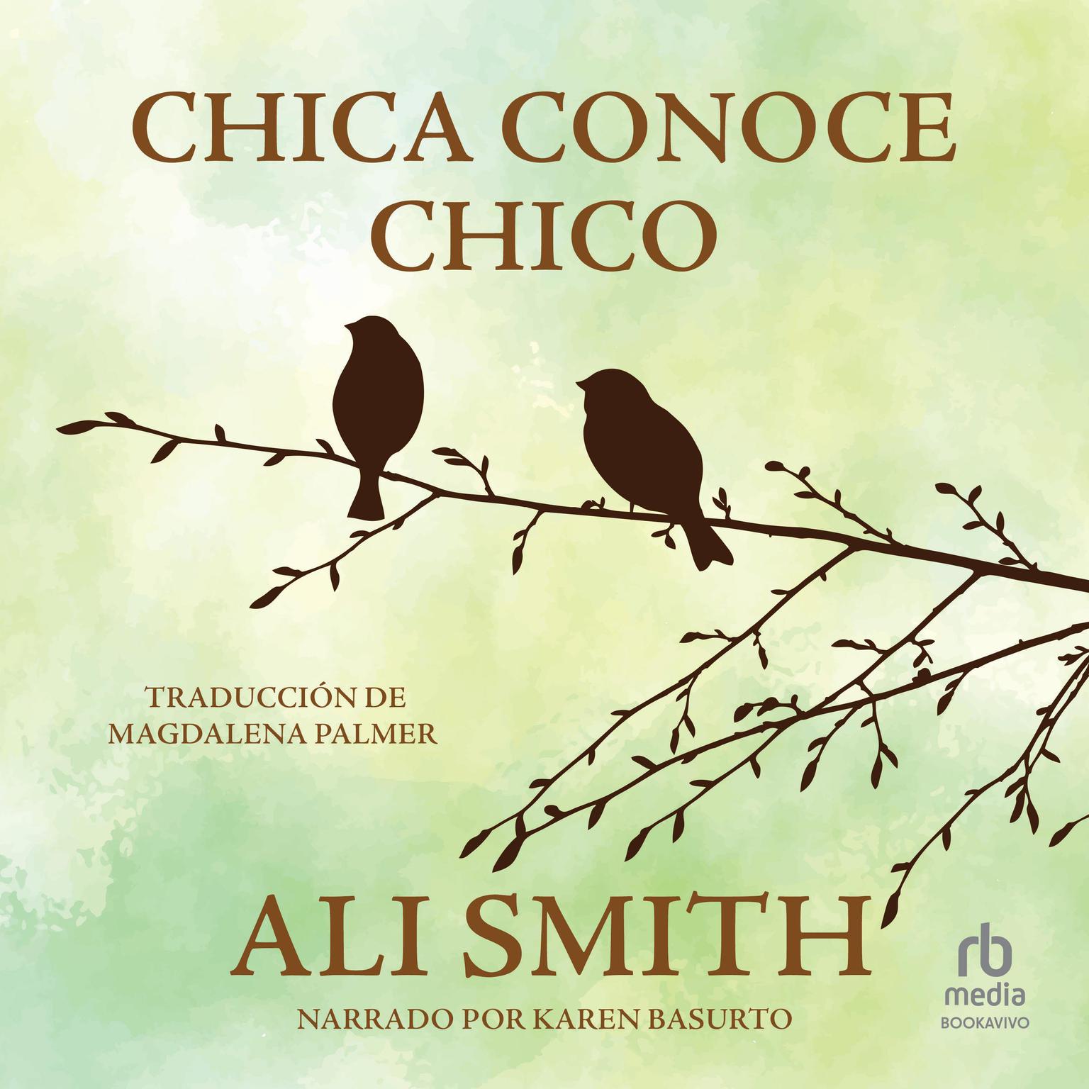 Chica conoce chico Audiobook, by Ali Smith
