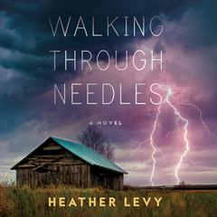 Walking Through Needles Audiobook, by Heather Levy