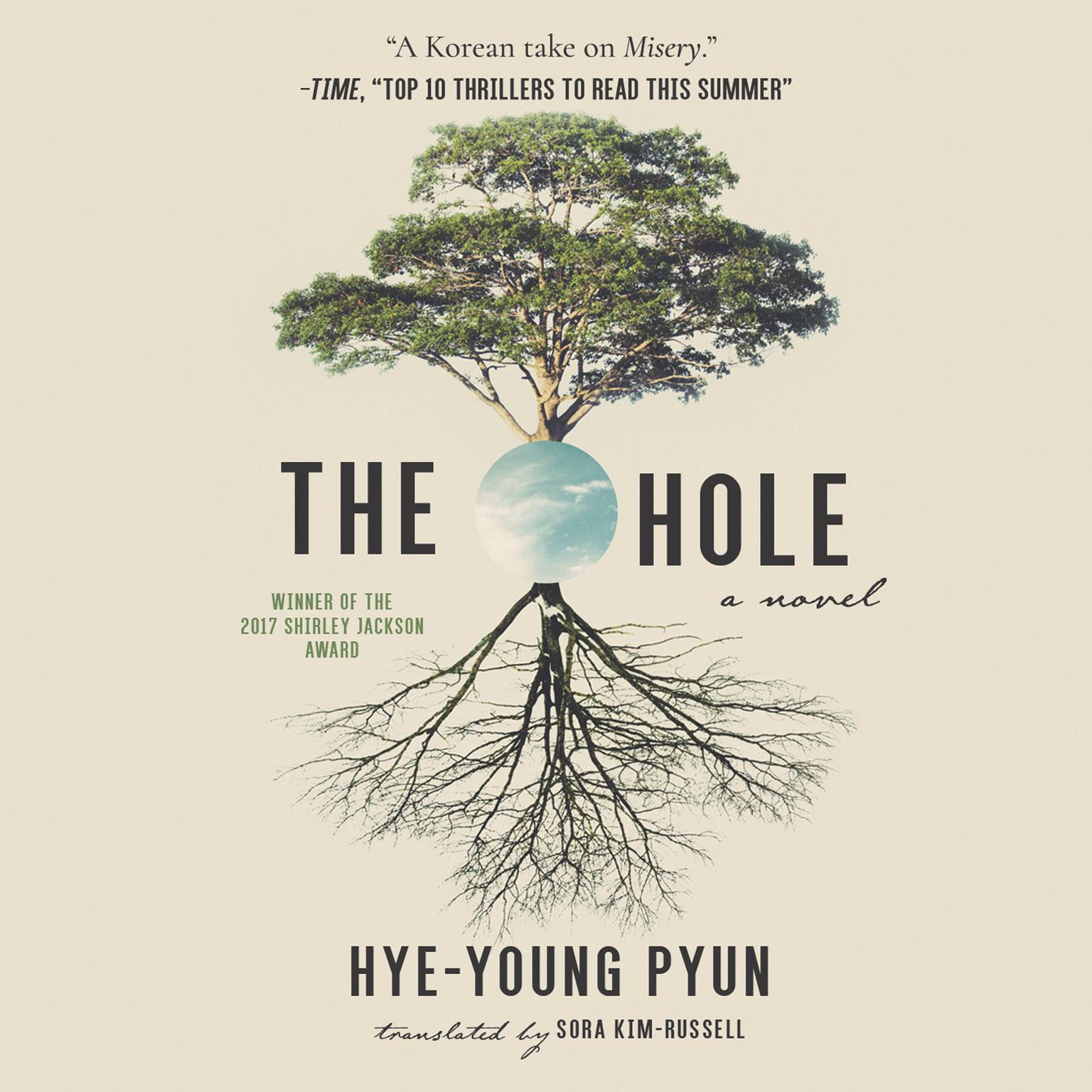 The Hole Audiobook, by Hye-Young Pyun