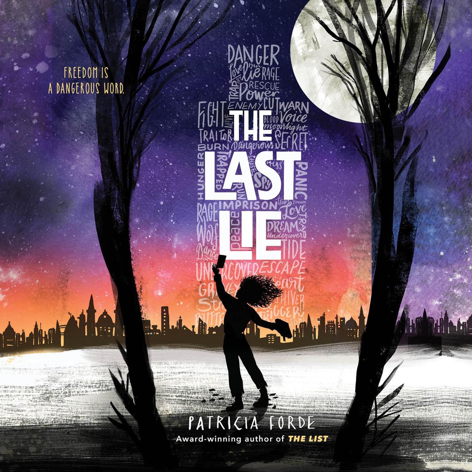 The Last Lie Audiobook, by Patricia Forde